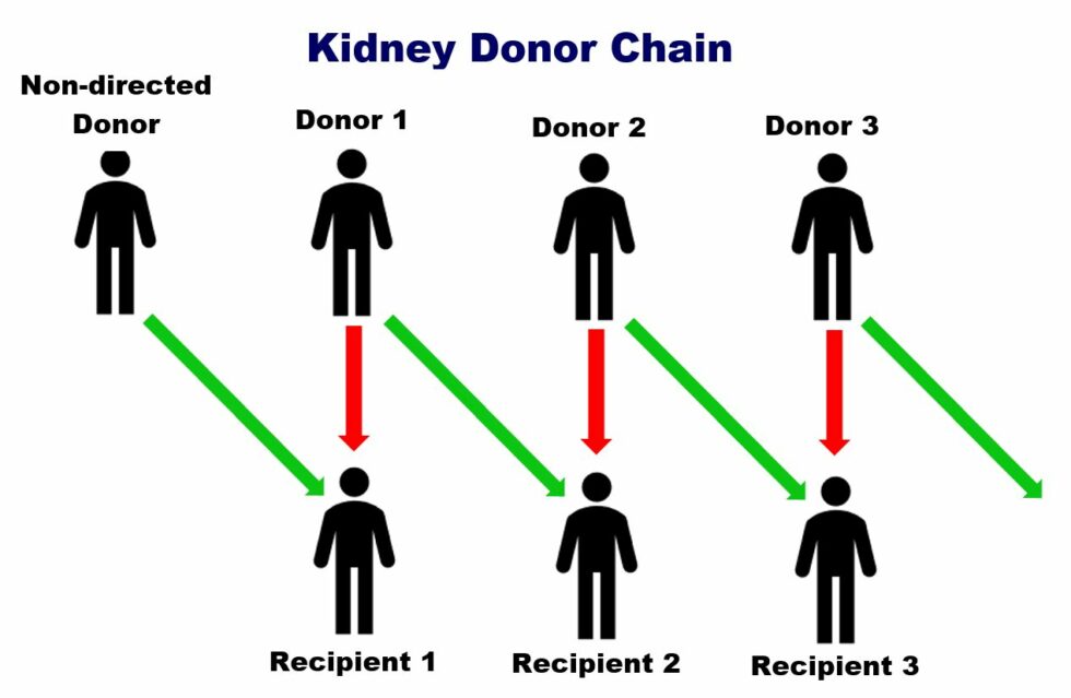 Living Kidney Donation EMS Gives Life